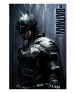 DC Comics plagát Pack Batman Downpour 61 x 91 cm (4)